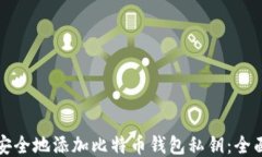 如何安全地添加比特币钱包私钥：全面指南