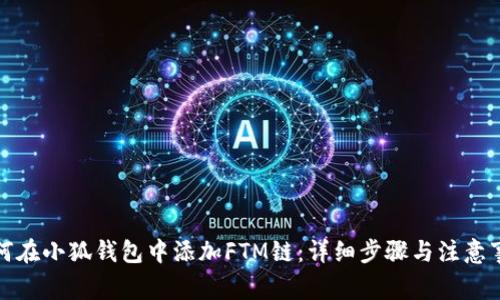 如何在小狐钱包中添加FTM链：详细步骤与注意事项