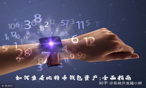 如何查看比特币钱包资产：全面指南