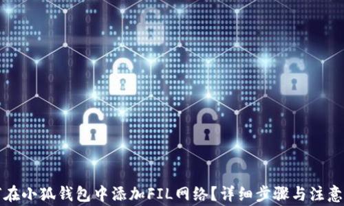 
如何在小狐钱包中添加FIL网络？详细步骤与注意事项