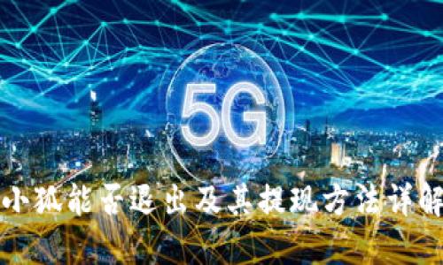 小狐能否退出及其提现方法详解