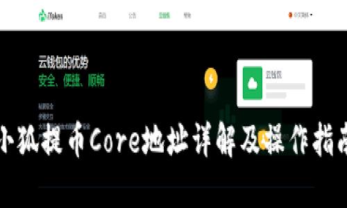 小狐提币Core地址详解及操作指南